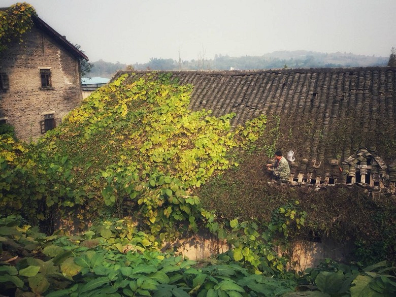 天气大好手机扫街:合川大石镇利泽老街!