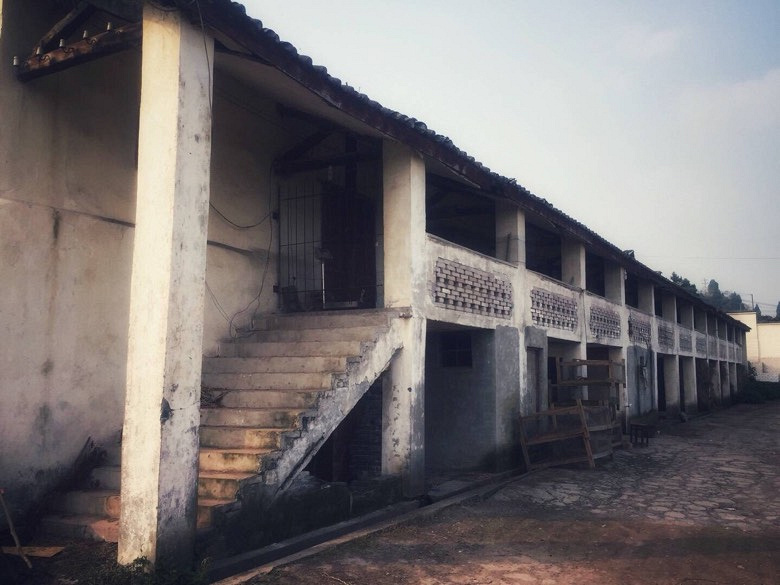 天气大好手机扫街:合川大石镇利泽老街!