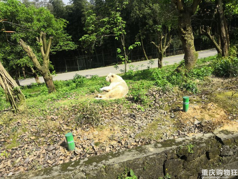 赏了大足石刻，又玩乐和乐都……