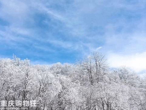 西岭雪山门票多少钱一个人?玩雪指南,西岭雪山门票价格多少钱