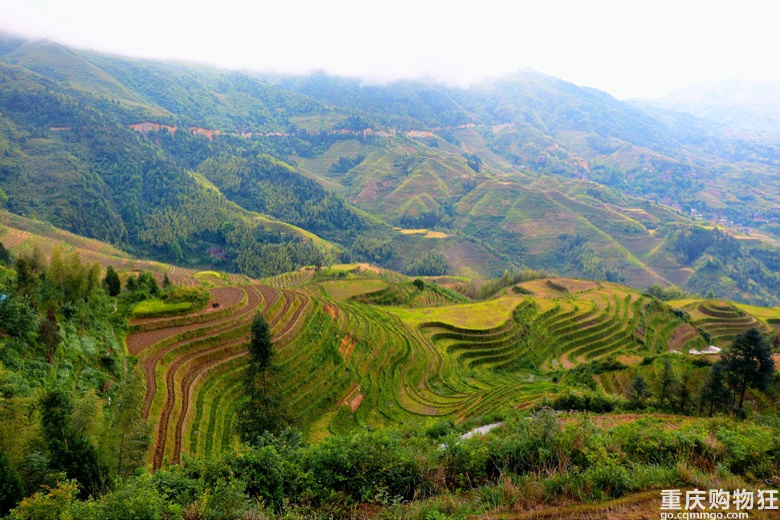 又是一场说走就走的旅行