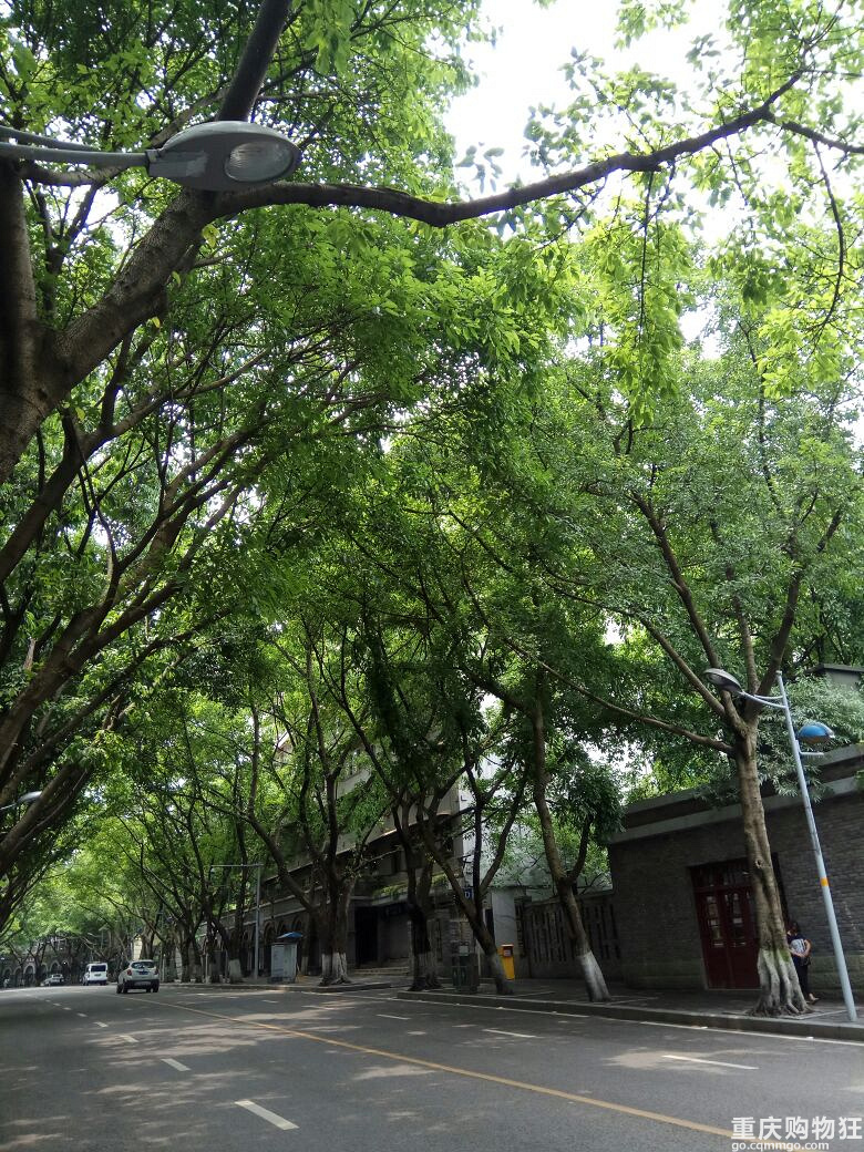 最美街道半日游