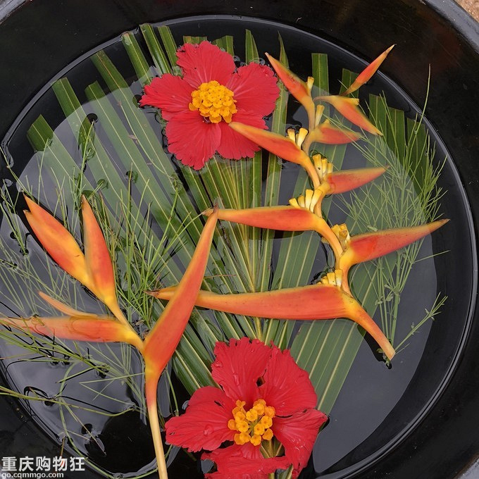 【塞舌尔】慢生活森呼吸，今天我们来做疯狂原始人！