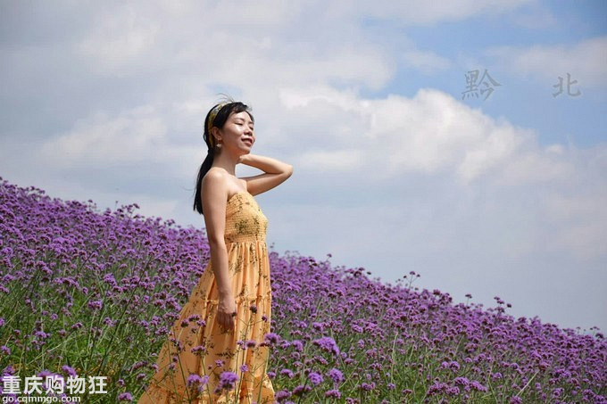 追逐清凉:桐梓黔北花海、娄山关、遵义周末游+夏游记