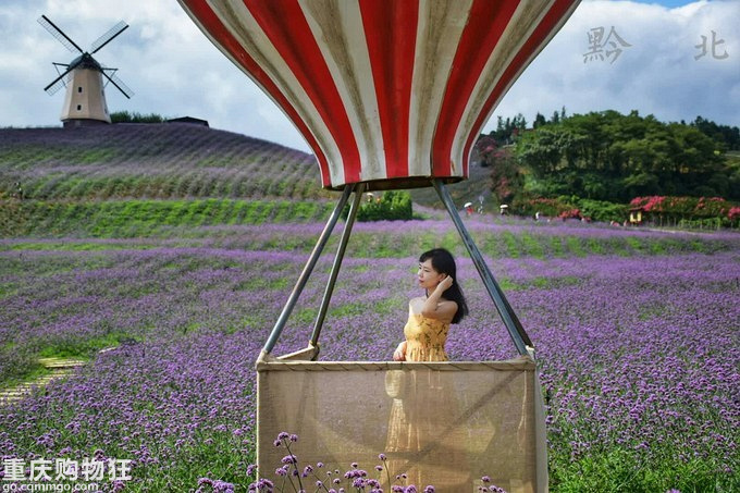 追逐清凉:桐梓黔北花海、娄山关、遵义周末游+夏游记