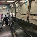种草这家油炸串串，一周去吃了三次_图1