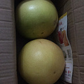 红心柚