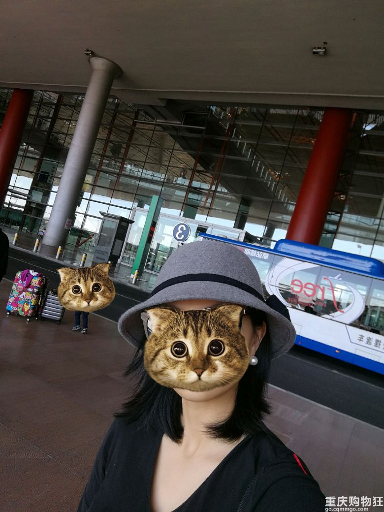 2018国庆塞罕坝之旅,美到令人窒息