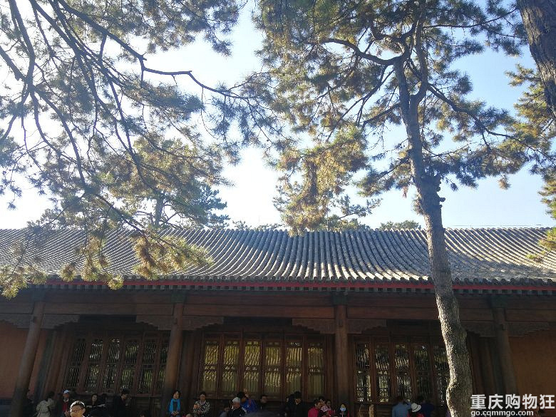 2018国庆塞罕坝之旅,美到令人窒息