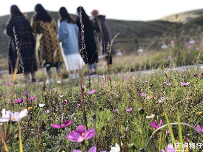 自驾稻城亚丁游记+种草旅行地