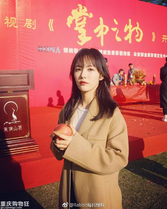 《掌中之物》电视剧版官宣了，女主蔡文静，男主彭冠英