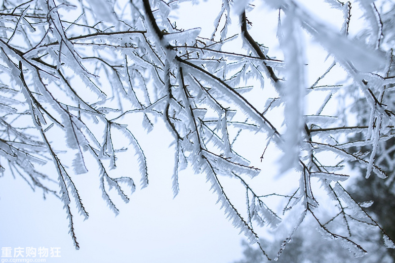 【周末溜娃】家门口的小众赏雪地，开启我们的2019之旅+冬游记