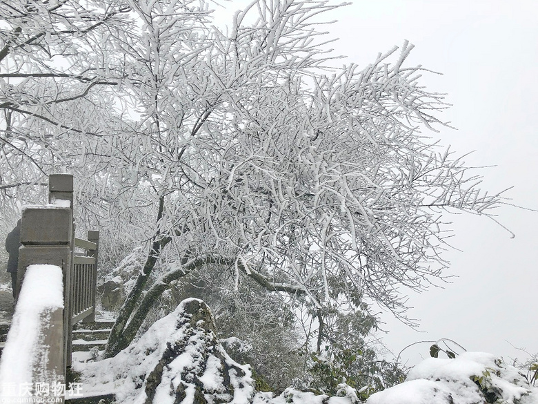 【周末溜娃】家门口的小众赏雪地，开启我们的2019之旅+冬游记