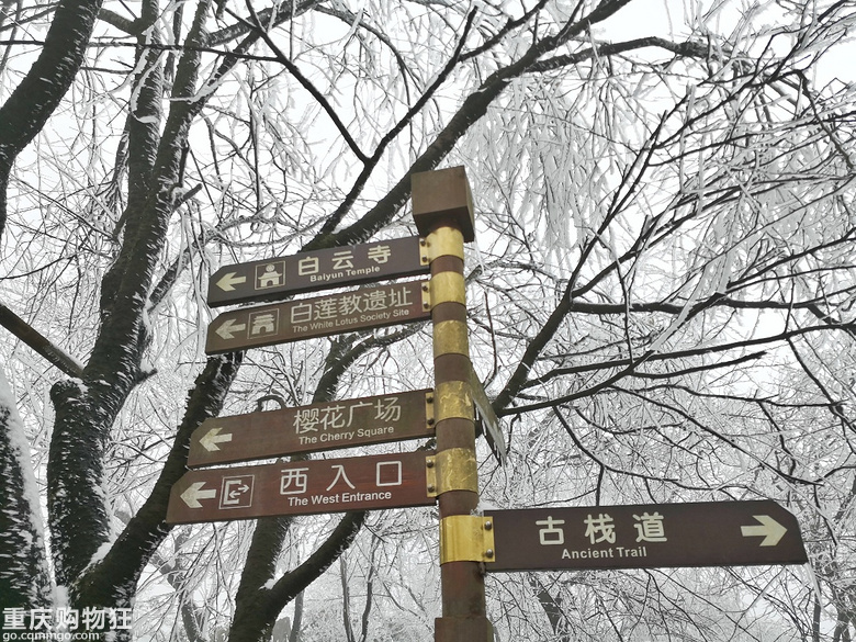 【周末溜娃】家门口的小众赏雪地，开启我们的2019之旅+冬游记
