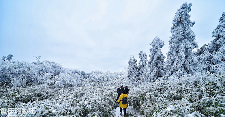 2018最后一天，宝鼎看雪，非一般的感受~