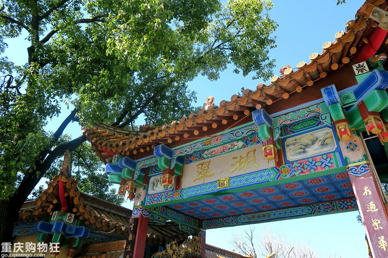 2019昆明翠湖公园;海埂大坝;大观楼观赏海鸥。