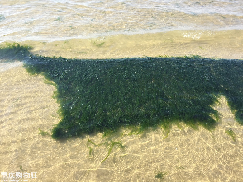 我爱海陵岛