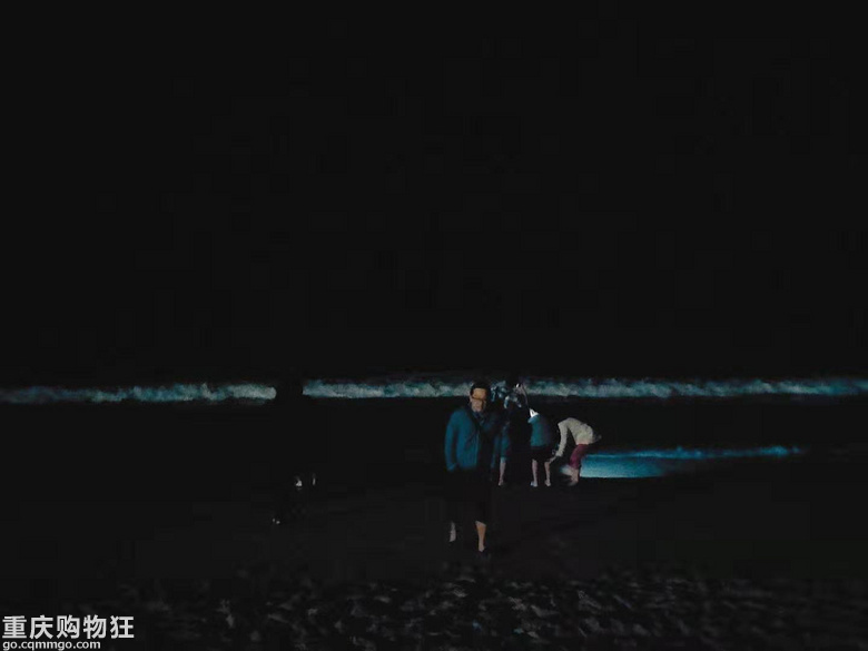 春节跟着凑闹热,两个老辈子带团自驾海陵岛