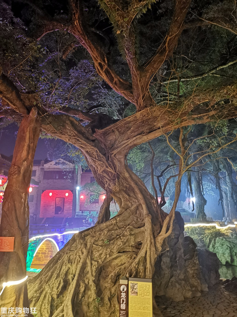 春节渝桂粤黔四省行