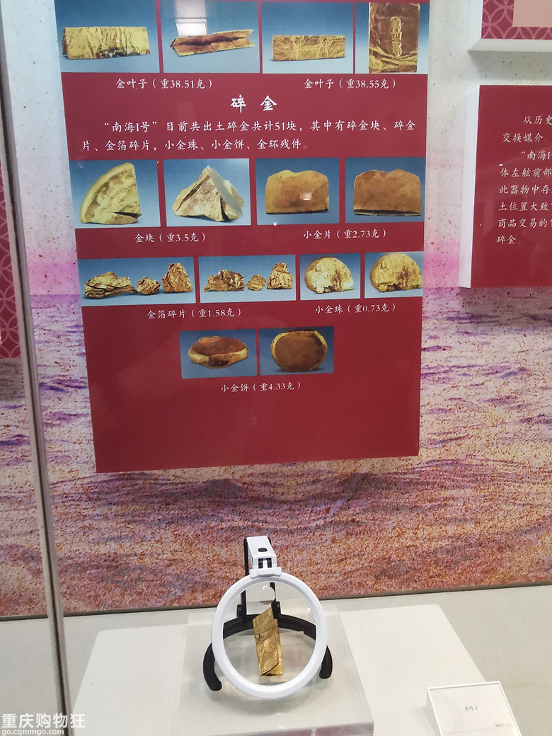 春节渝桂粤黔四省行
