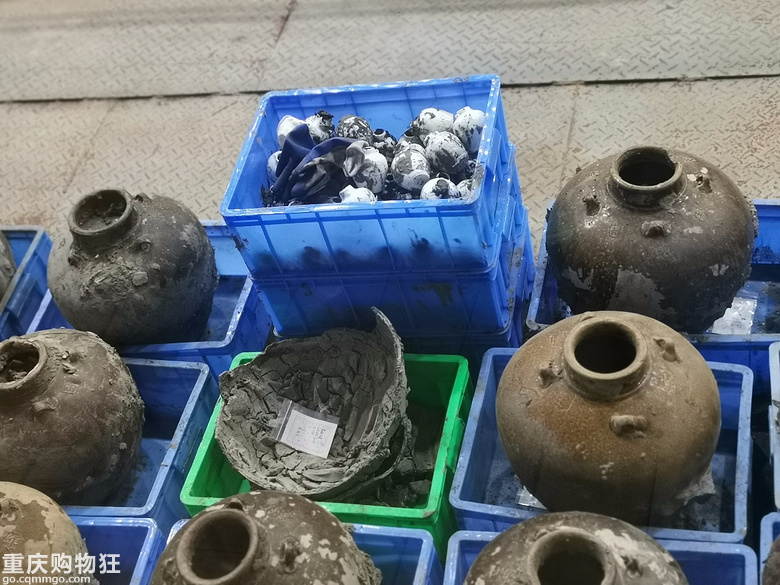 春节渝桂粤黔四省行
