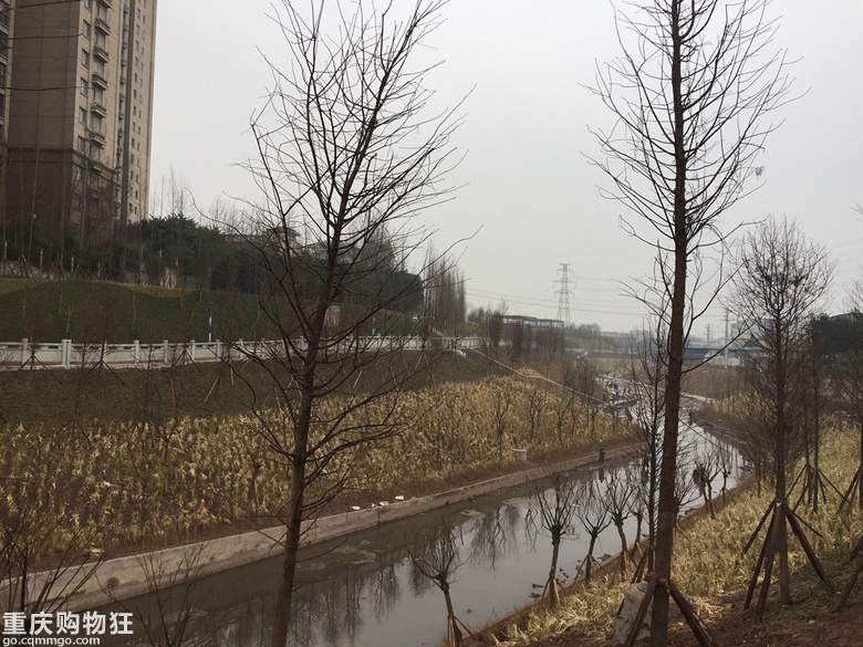 跳磴河，华岩主题公园半日游+2019春游记