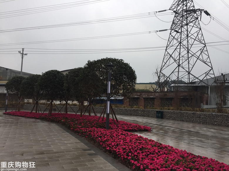 跳磴河，华岩主题公园半日游+2019春游记