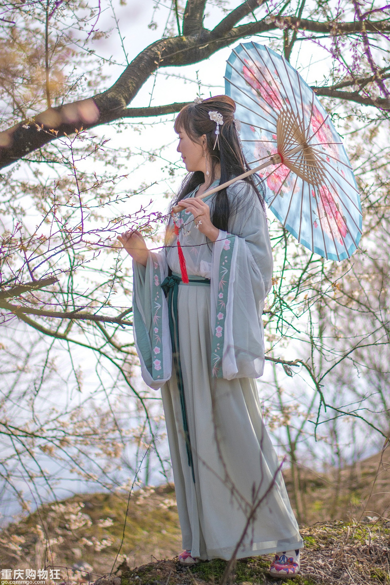 深闺未人识，漫山野樱林-云龟山+2019春游记