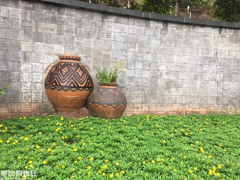 半山公园的樱花大道，居然没人让我可以静静欣赏+2019春游记
