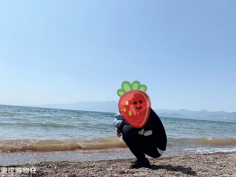 漫游抚仙湖 | 湖畔,海鸥,隐世乡野,春暖花开