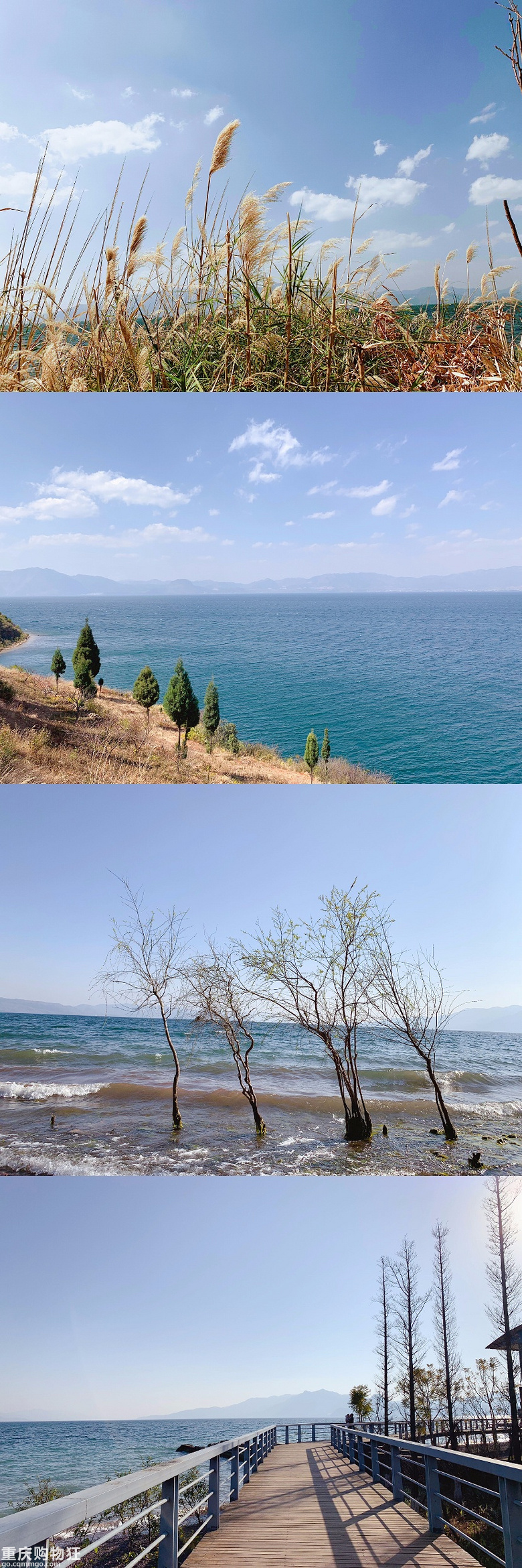 漫游抚仙湖 | 湖畔，海鸥，隐世乡野，春暖花开