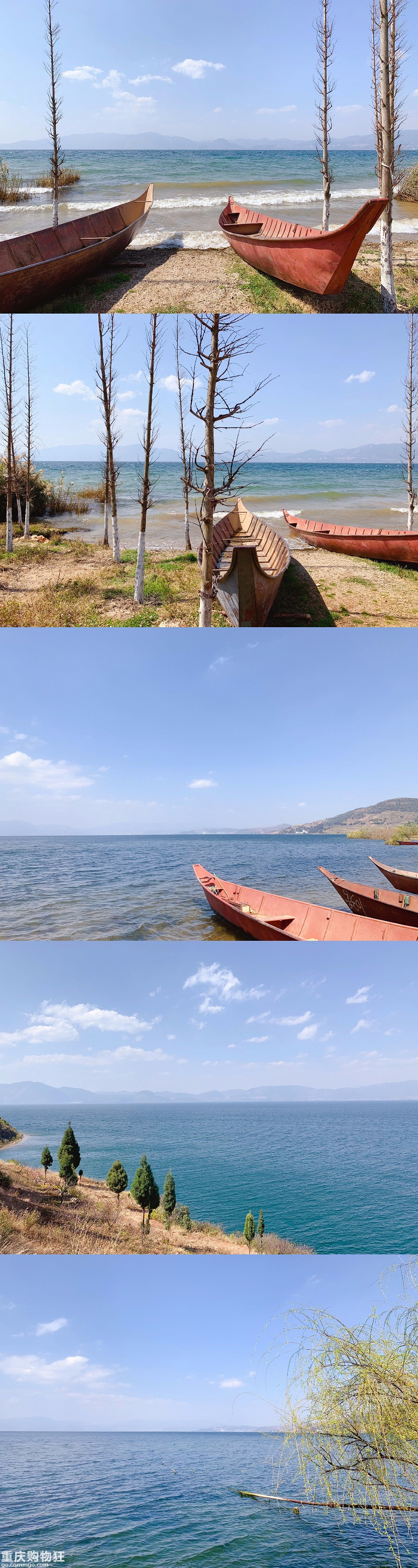 漫游抚仙湖 | 湖畔，海鸥，隐世乡野，春暖花开
