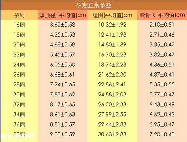 一fz学会三种算胎儿体重的方法，详解产检B超单