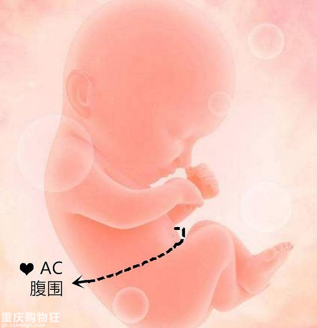 一fz学会三种算胎儿体重的方法，详解产检B超单