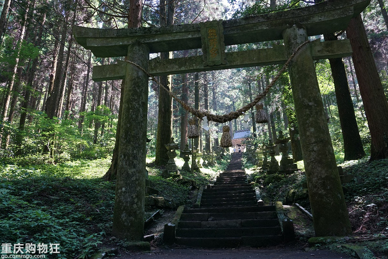 时隔一年的北九州游记 为了萤火之森的旅行 19五一游记大赛 亚洲 游山玩水 重庆购物狂