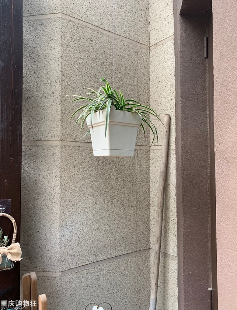 一年之际在于春、喜欢这个季节的阳光+【2019秀阳台大赛】
