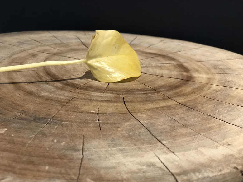 知识分享|家里为什么要铺木地板?好处竟然这么多...