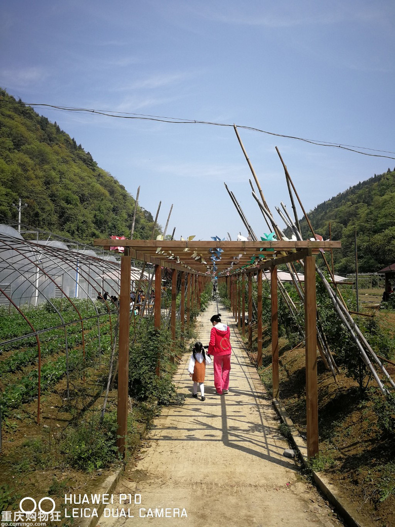 渝北天池百花谷