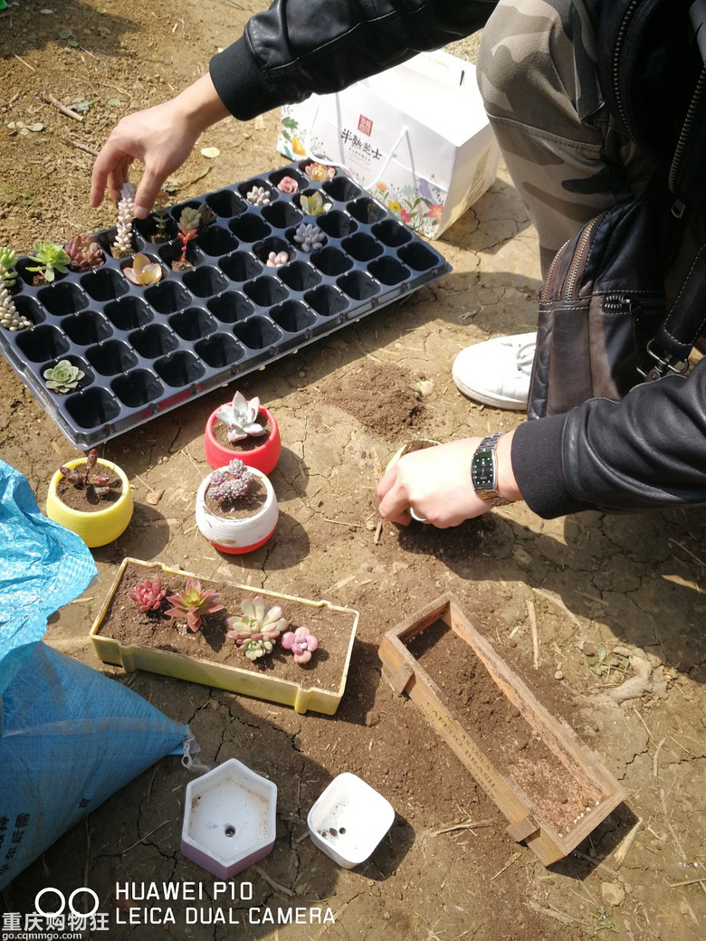 渝北天池百花谷