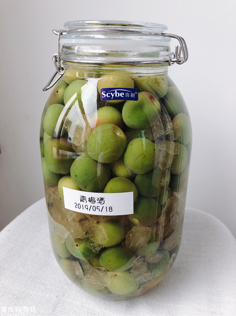 自制青梅酒、杨梅酒！有喜欢锅酒的吗，来分享经验呗