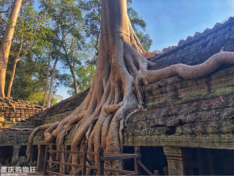 人均1900，和闺蜜来一场神秘柬埔寨吴哥之旅