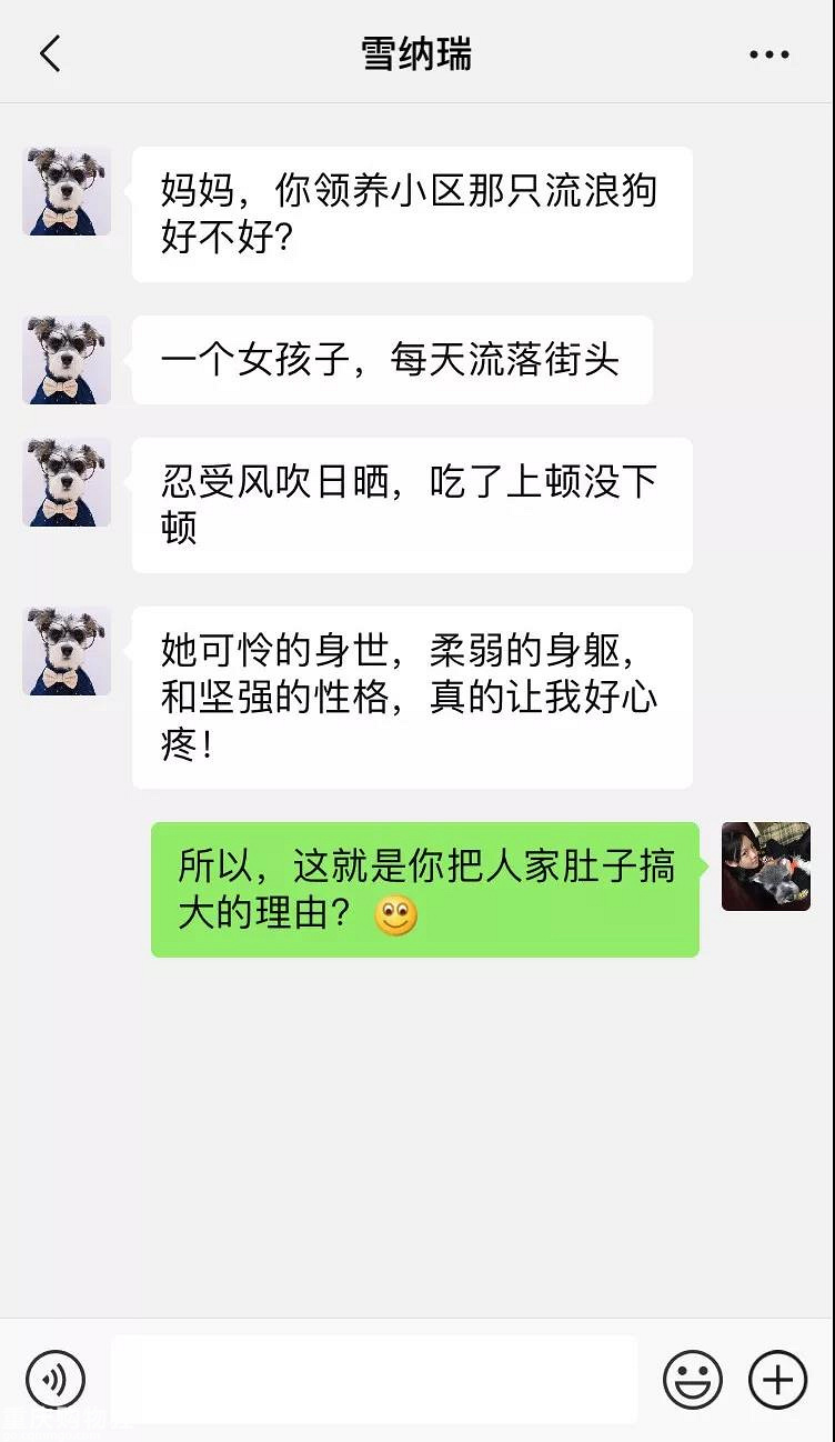 笑屎了！这些狗狗的聊天记录，承包了我一周的笑点！