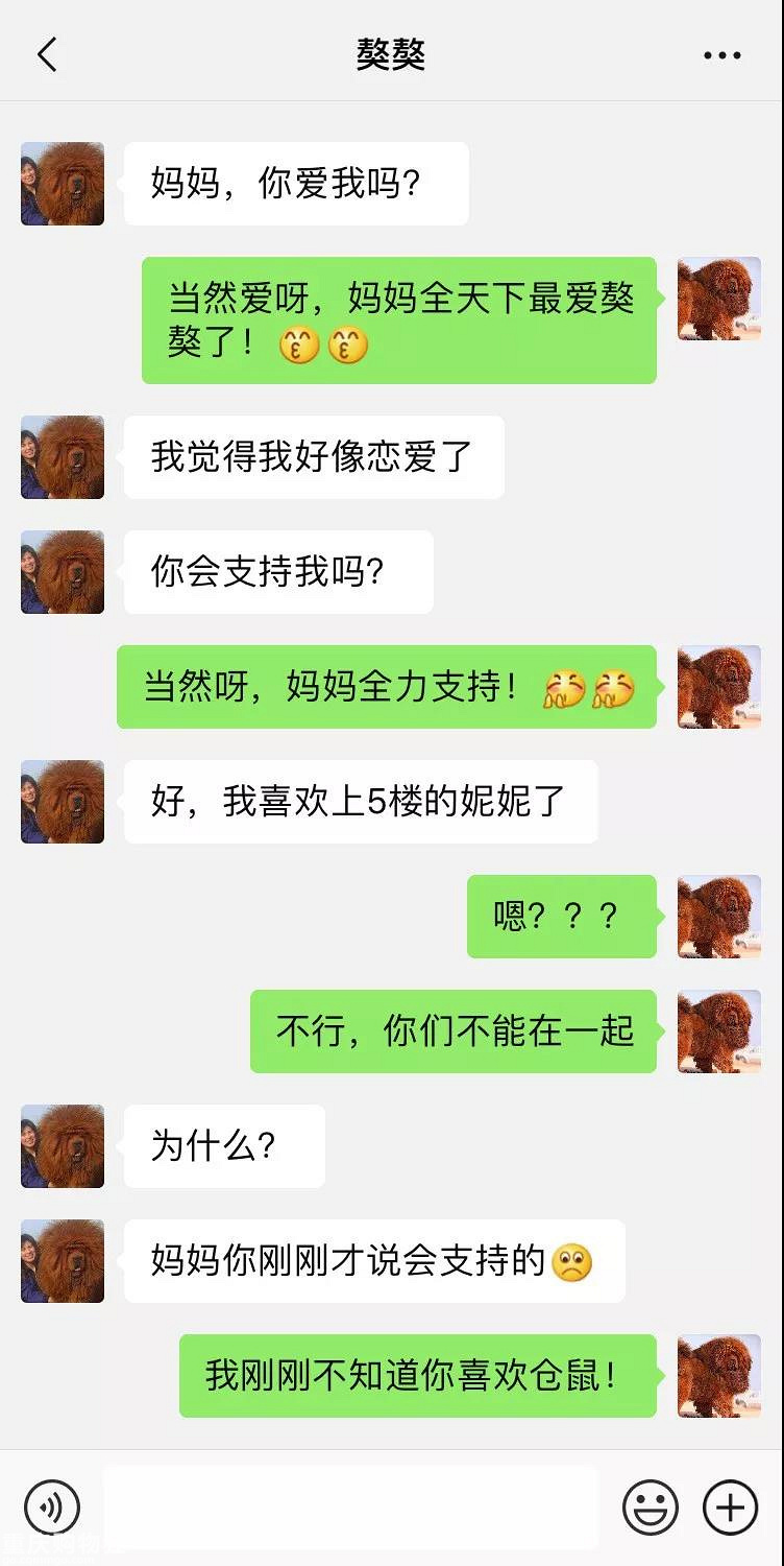 笑屎了！这些狗狗的聊天记录，承包了我一周的笑点！