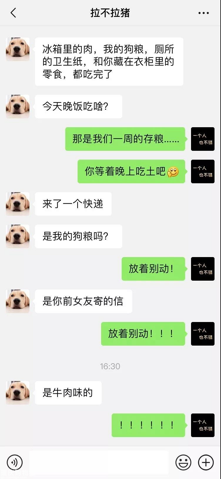 笑屎了！这些狗狗的聊天记录，承包了我一周的笑点！
