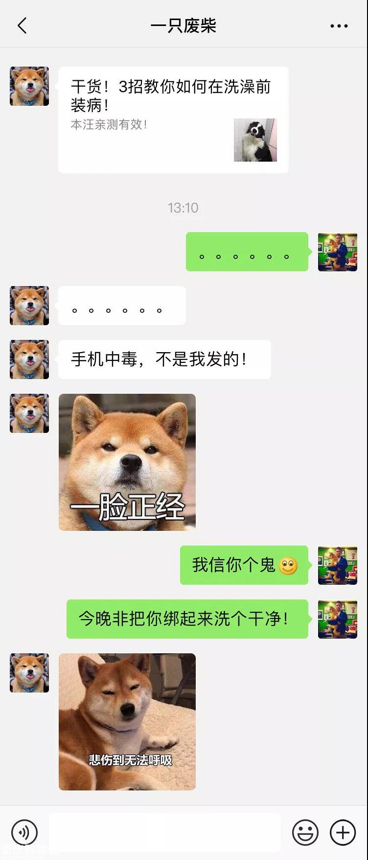 笑屎了！这些狗狗的聊天记录，承包了我一周的笑点！
