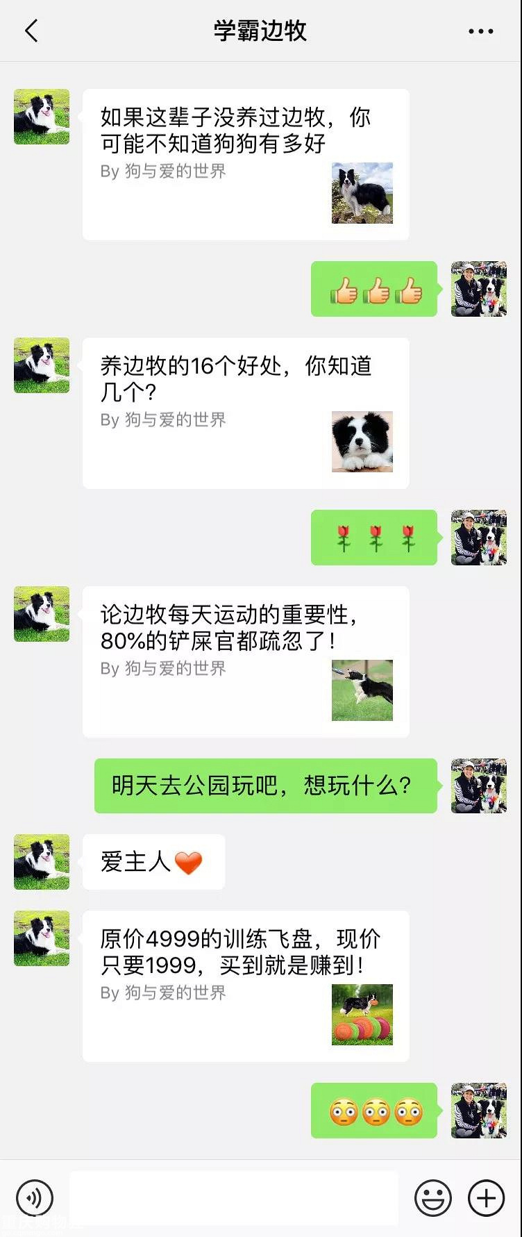 笑屎了！这些狗狗的聊天记录，承包了我一周的笑点！