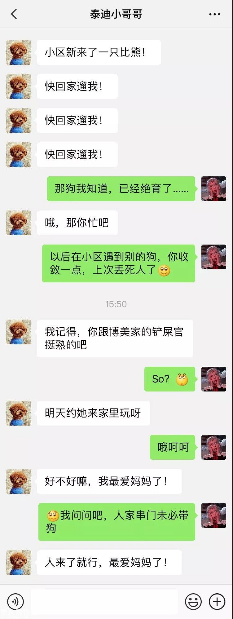 笑屎了！这些狗狗的聊天记录，承包了我一周的笑点！
