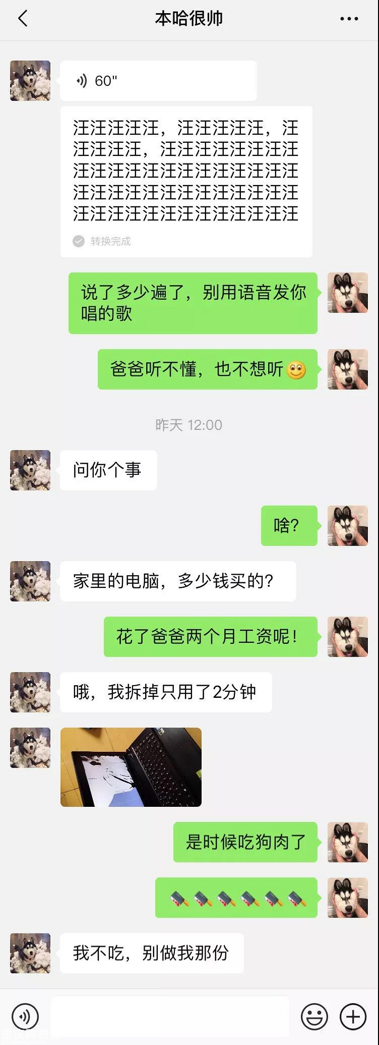 笑屎了！这些狗狗的聊天记录，承包了我一周的笑点！