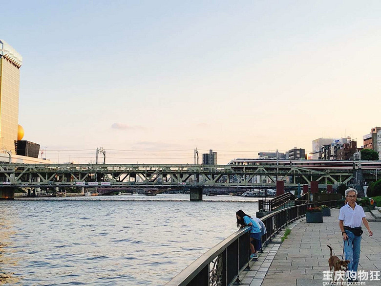 日本的一个月悠长假期【2019夏游记】，22楼更新番外篇新干线购票