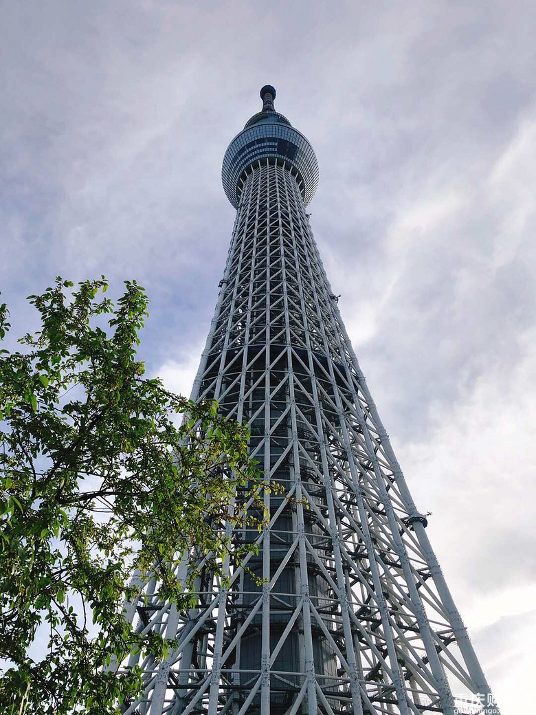 日本的一个月悠长假期【2019夏游记】，22楼更新番外篇新干线购票